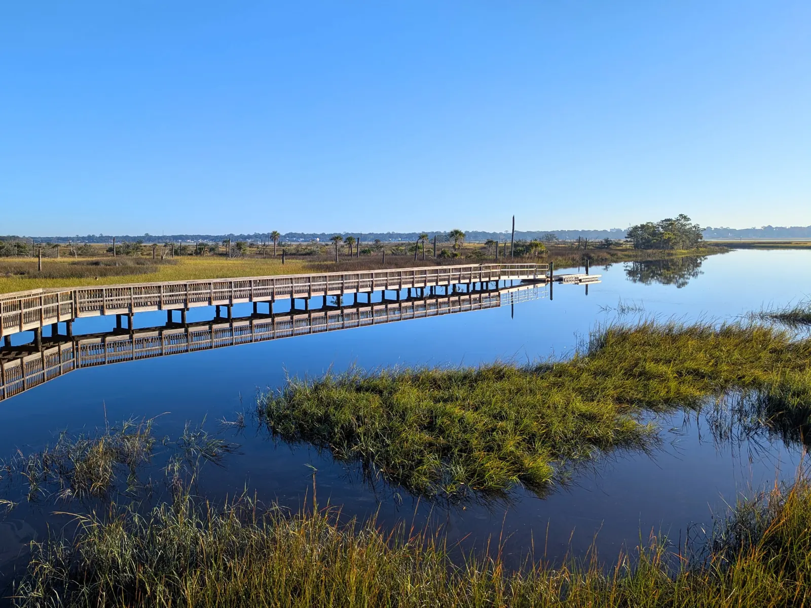Boardwalk trail over calm water at Tillie K. Fowler Park in Jacksonville