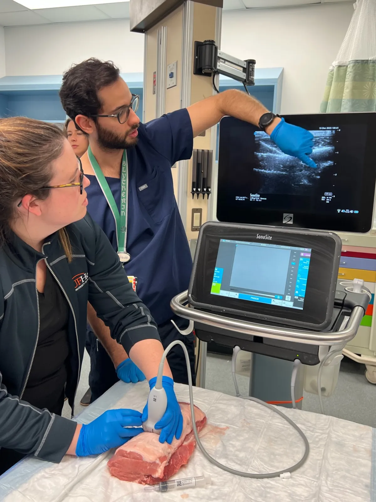 Faculty teaching ultrasound-guided nerve blocks on a tissue model